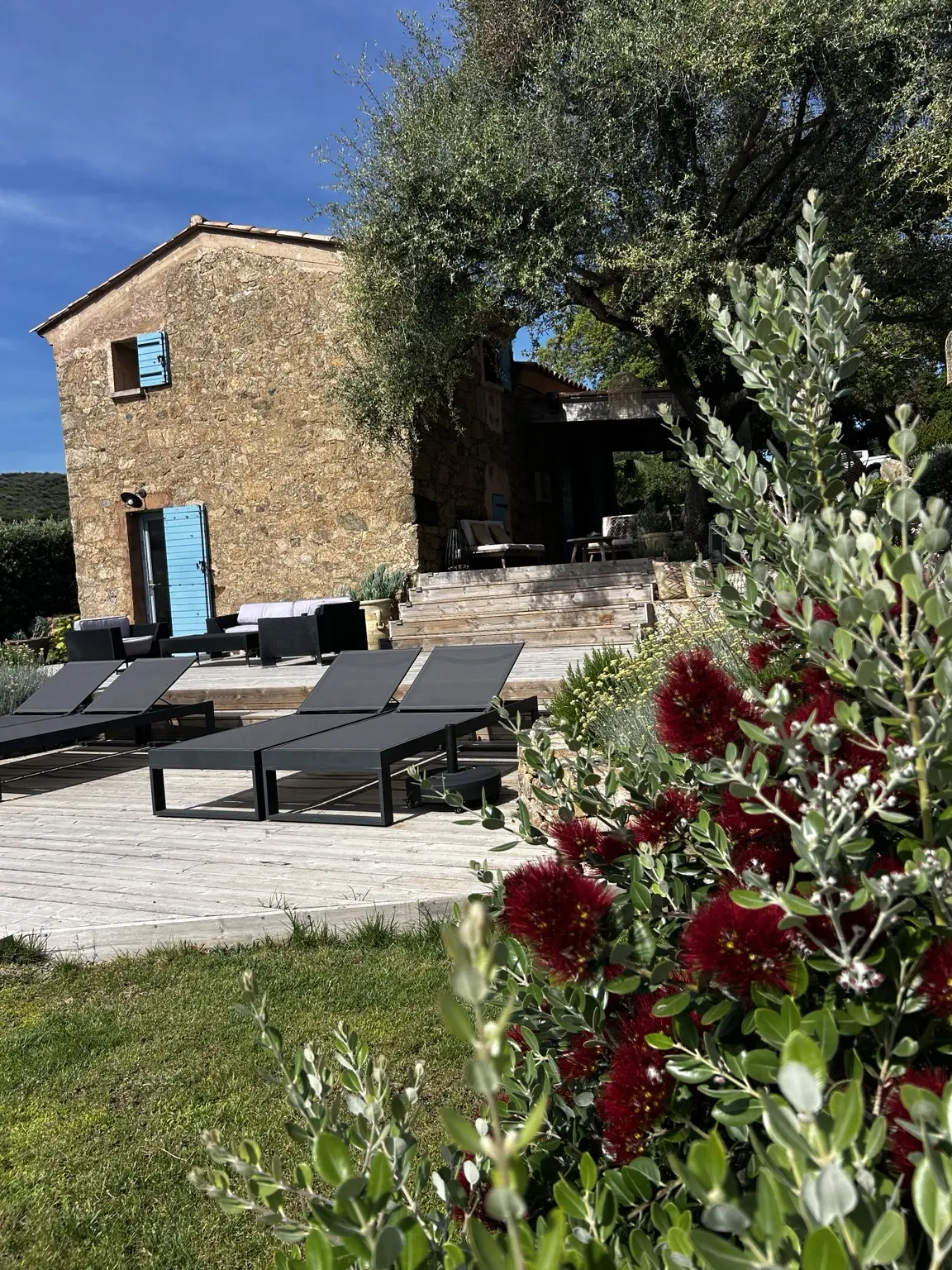 Façade en pierre de la Bergerie derrière les fleurs du jardin