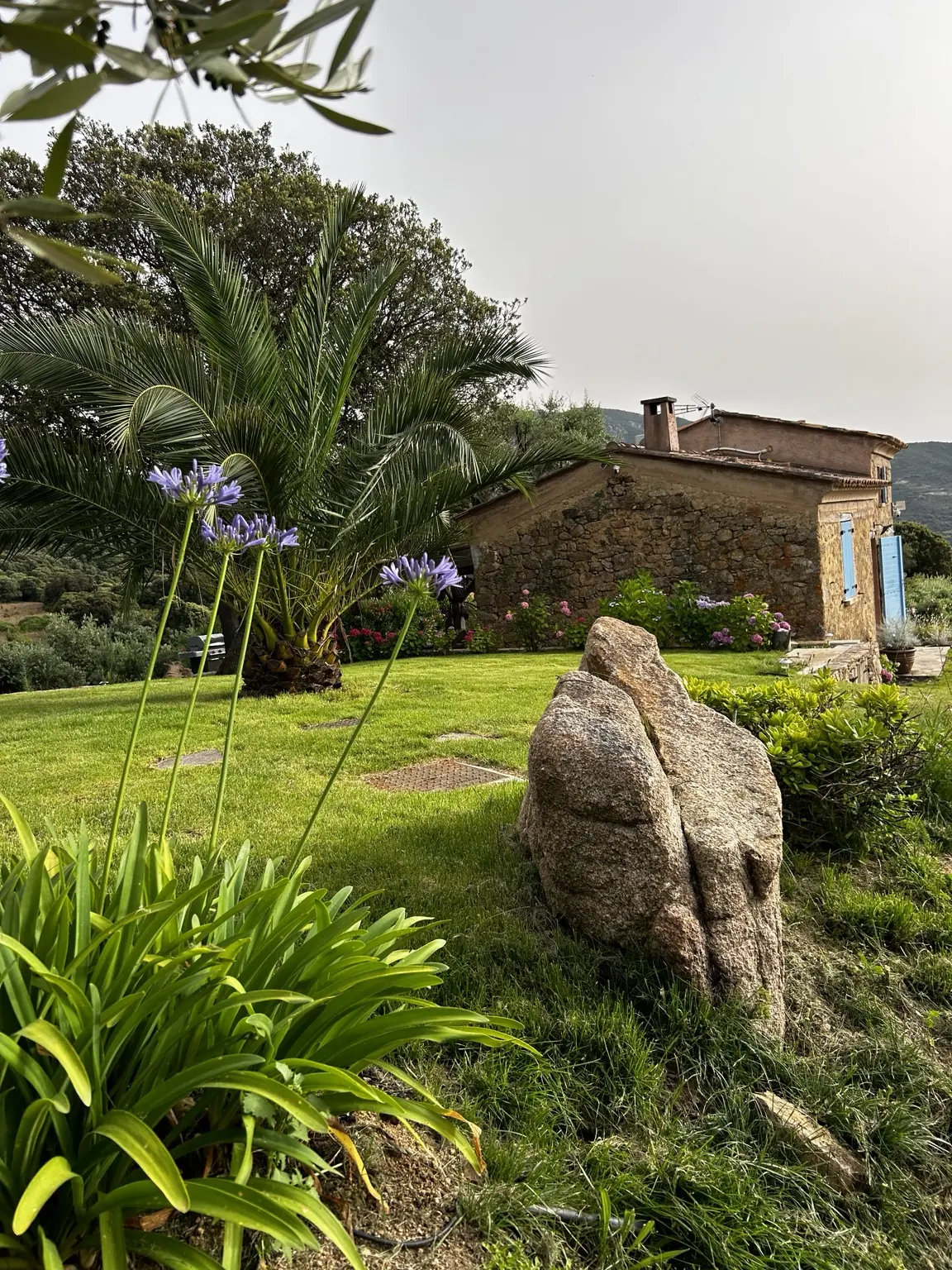 Vue extérieure de la bergerie en pierre au milieu du jardin paysager à Alata